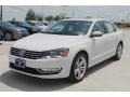 2014 Candy White Volkswagen Passat TDI SEL Premium  photo #3