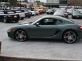 Malachite Green Metallic - Cayman S Photo No. 23