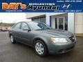 Willow Gray - Sonata GLS Photo No. 1