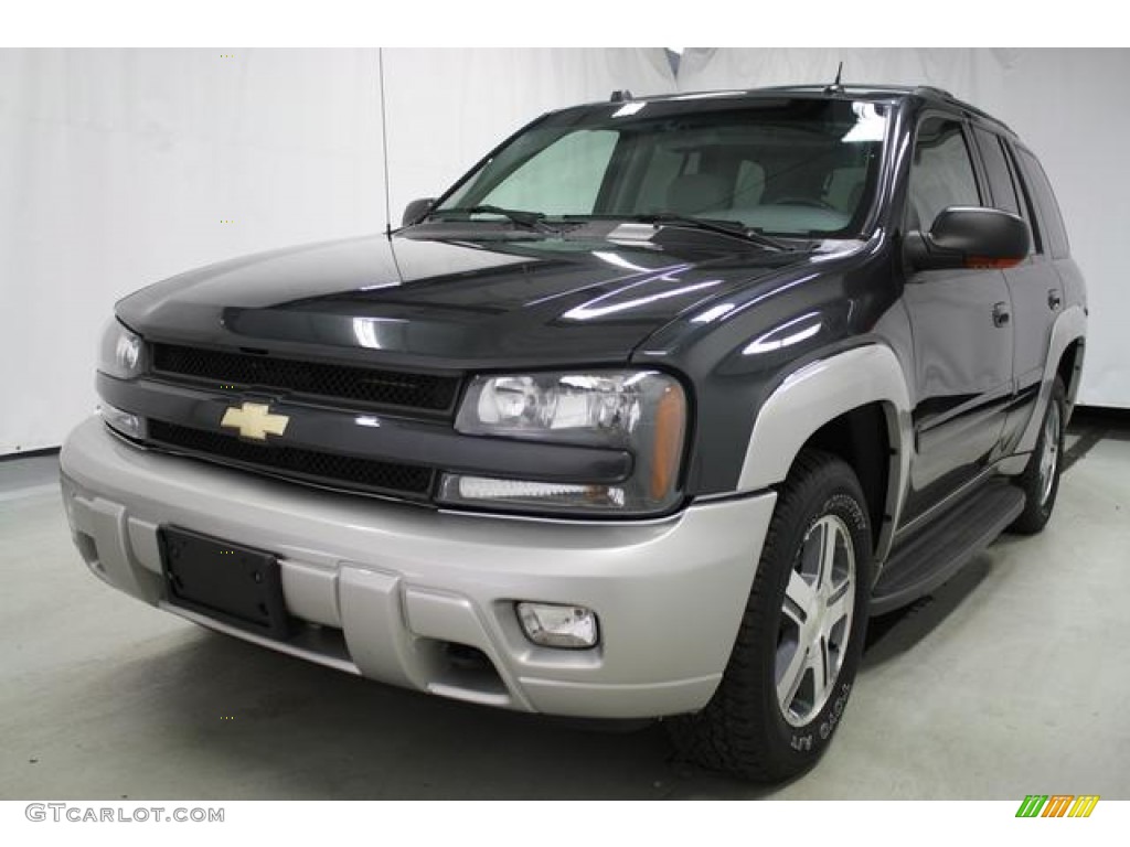 2005 TrailBlazer LS 4x4 - Superior Blue Metallic / Light Gray photo #2