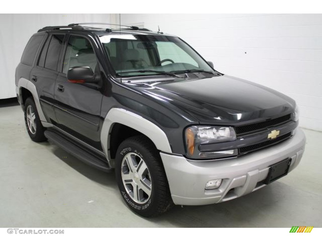 2005 TrailBlazer LS 4x4 - Superior Blue Metallic / Light Gray photo #6