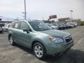 Jasmine Green Metallic 2015 Subaru Forester 2.5i Limited Exterior