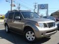 2006 Storm Grey Metallic Nissan Pathfinder LE 4x4 #92551277