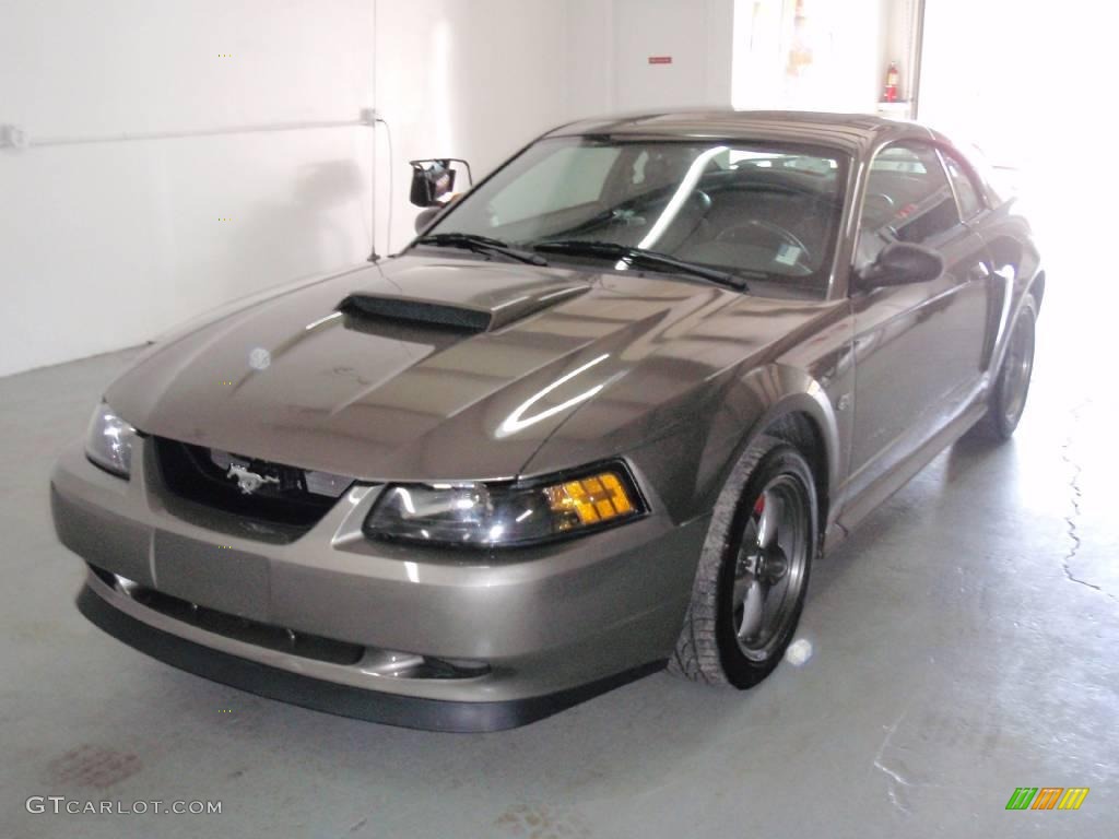 2002 Mustang GT Coupe - Mineral Grey Metallic / Dark Charcoal photo #1