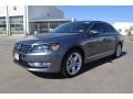 2014 Platinum Gray Metallic Volkswagen Passat TDI SEL Premium  photo #1