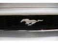 Ingot Silver - Mustang V6 Convertible Photo No. 6