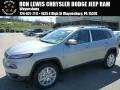 Billet Silver Metallic 2014 Jeep Cherokee Limited