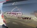2010 Pyrite Mica Toyota Tacoma V6 SR5 TRD Sport Double Cab 4x4  photo #4