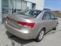 Golden Beige - Sonata GLS Photo No. 10