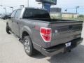 2014 Sterling Grey Ford F150 STX SuperCrew  photo #4