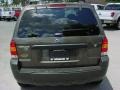 2006 Dark Stone Metallic Ford Escape XLT V6  photo #4