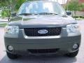 2006 Dark Stone Metallic Ford Escape XLT V6  photo #9