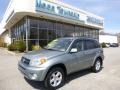 2004 Everglade Green Metallic Toyota RAV4 4WD #92590730