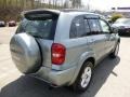 2004 Everglade Green Metallic Toyota RAV4 4WD  photo #5