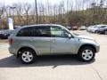 2004 Everglade Green Metallic Toyota RAV4 4WD  photo #6