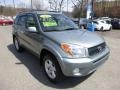 2004 Everglade Green Metallic Toyota RAV4 4WD  photo #7