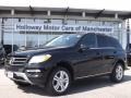 Black - ML 350 4Matic Photo No. 1