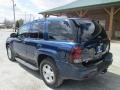 2002 Indigo Blue Metallic Chevrolet TrailBlazer LS 4x4  photo #12