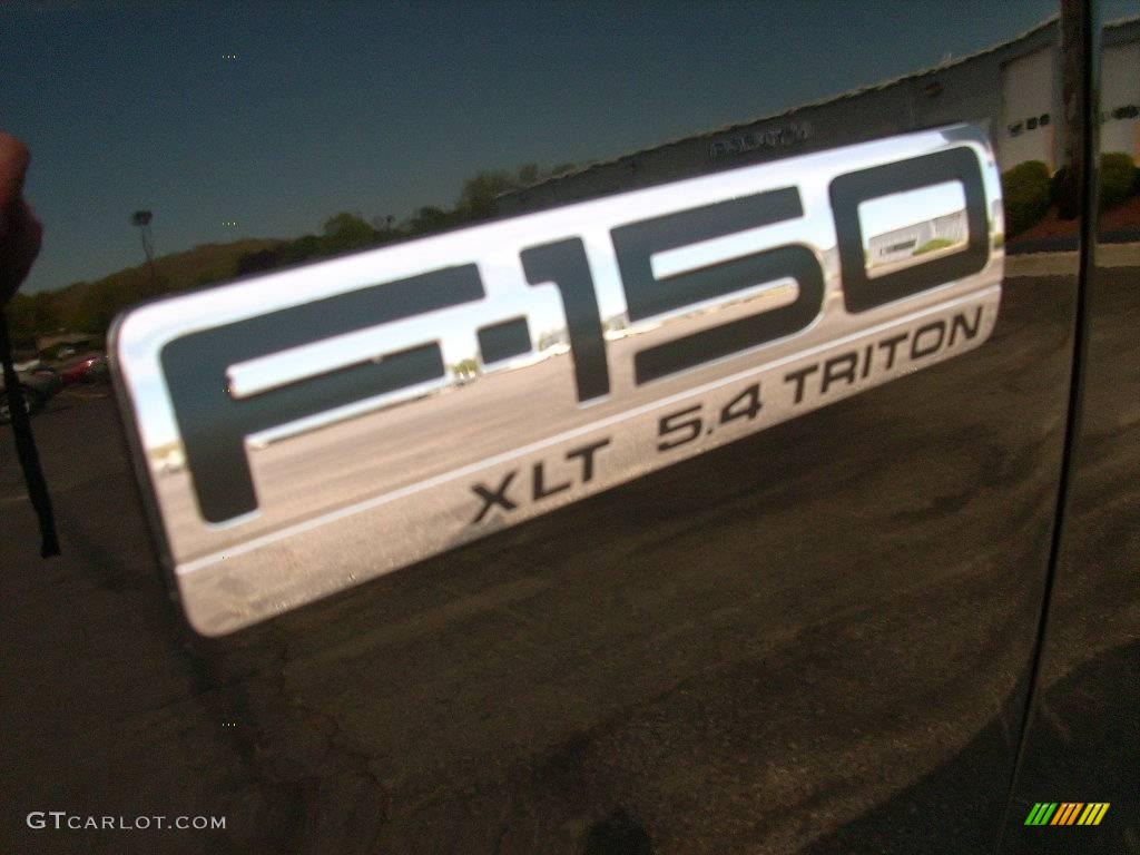 2006 F150 XLT SuperCrew 4x4 - Black / Medium/Dark Flint photo #17