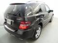 Black - ML 350 4Matic Photo No. 6