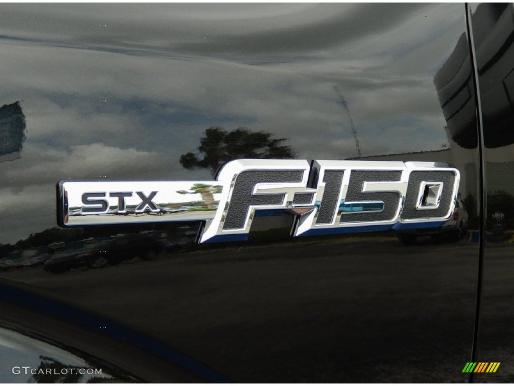 2014 F150 STX SuperCrew - Tuxedo Black / Black photo #5