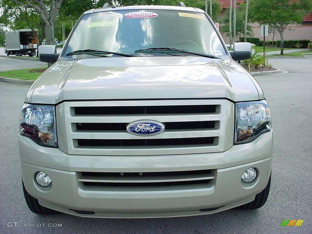 2007 Expedition EL Limited - Pueblo Gold Metallic / Charcoal Black/Caramel photo #9