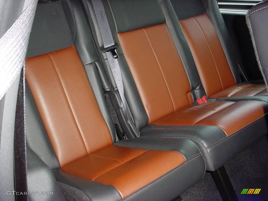 2007 Expedition EL Limited - Pueblo Gold Metallic / Charcoal Black/Caramel photo #13