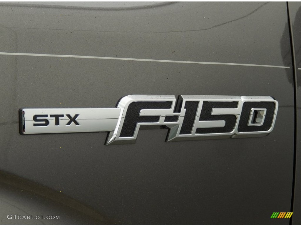 2014 F150 STX SuperCrew - Sterling Grey / Steel Grey photo #4