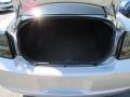 Bright Silver Metallic - Charger Rallye AWD Photo No. 13