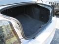 Dark Slate Gray Trunk Photo for 2010 Dodge Charger #92622144