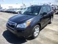Dark Gray Metallic - Forester 2.5i Premium Photo No. 3