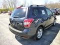 Dark Gray Metallic - Forester 2.5i Premium Photo No. 7