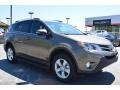 Pyrite Mica 2014 Toyota RAV4 XLE
