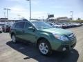 2014 Cypress Green Pearl Subaru Outback 2.5i Premium  photo #1