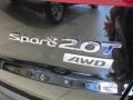 2013 Twilight Black Hyundai Santa Fe Sport 2.0T AWD  photo #7