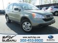 Green Tea Metallic 2007 Honda CR-V LX