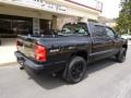 2011 Brilliant Black Crystal Pearl Dodge Dakota Big Horn Crew Cab 4x4  photo #8