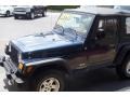 2004 Patriot Blue Pearl Jeep Wrangler SE 4x4  photo #4