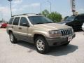 Champagne Pearl - Grand Cherokee Laredo Photo No. 4