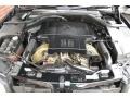 5.0 Liter DOHC 32-Valve V8 Engine for 1996 Mercedes-Benz S 500 Sedan #92663203