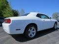 2014 Bright White Dodge Challenger SXT  photo #3