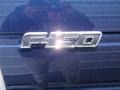 2014 Blue Jeans Ford F150 XLT SuperCrew  photo #21
