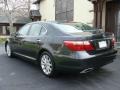 Smoky Granite Mica - LS 460 AWD Photo No. 6
