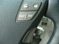 Smoky Granite Mica - LS 460 AWD Photo No. 15