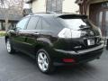 Black Onyx - RX 350 AWD Photo No. 6