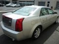 2004 Light Platinum Cadillac CTS Sedan  photo #13