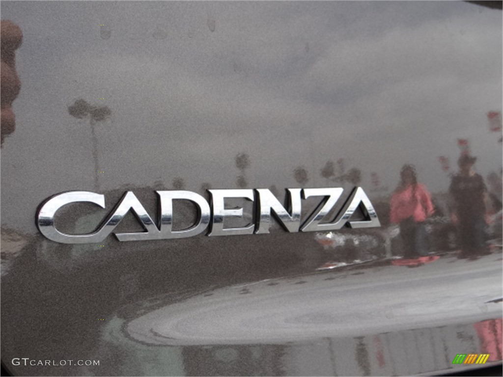 2014 Cadenza Premium - Metallic Bronze / Black photo #8