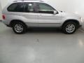 Titanium Silver Metallic - X5 3.0i Photo No. 7
