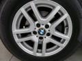 Titanium Silver Metallic - X5 3.0i Photo No. 10