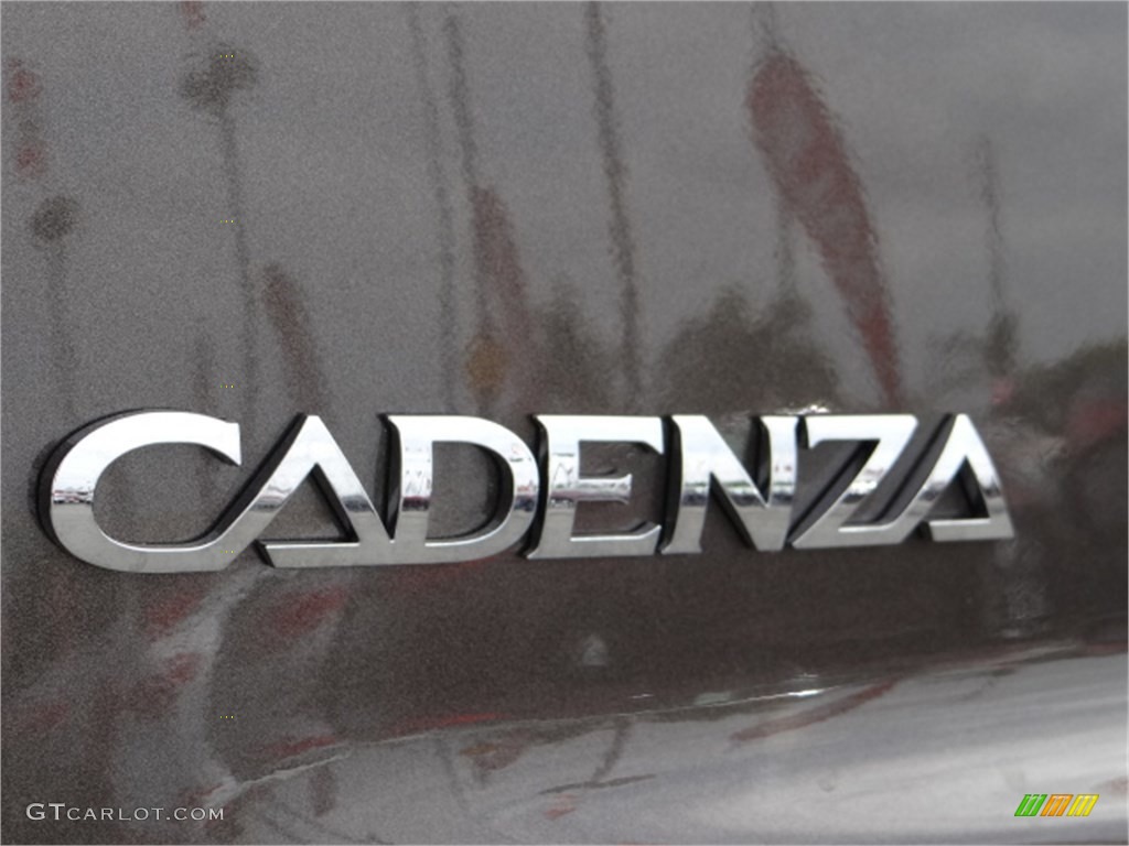 2014 Cadenza Premium - Metallic Bronze / Beige photo #8
